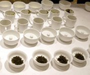 Tea cupping set with loose-leaf tea in four cups.