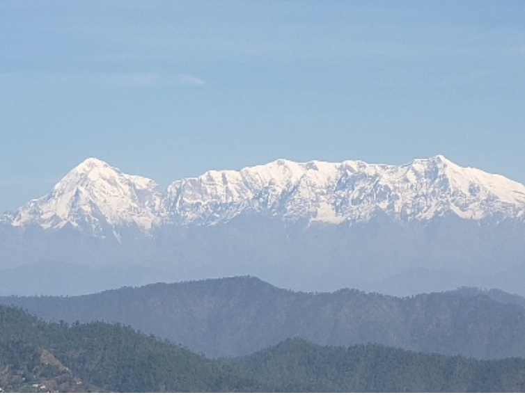 Steeped in Culture: Tea Trails of Northern India